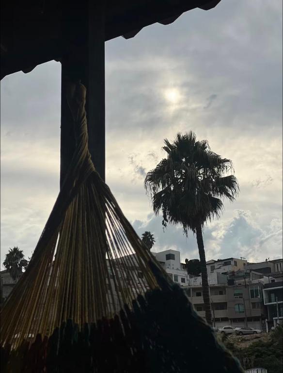 Garden and chill - 2