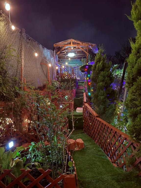 Garden and chill - 5