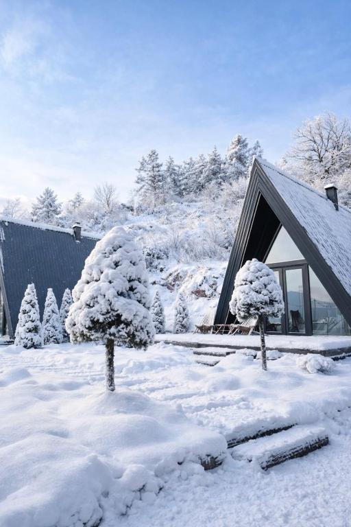 Loon Moon Mountain Chalets - 2