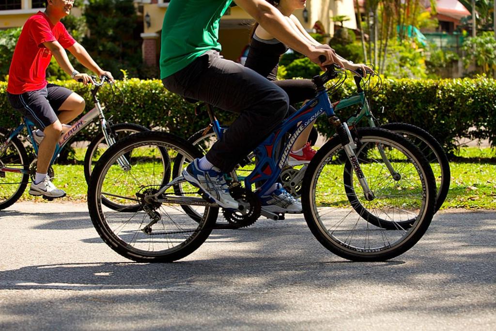 Sports and activities