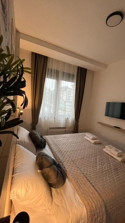 Zlatan Apartman Zlatibor - 5