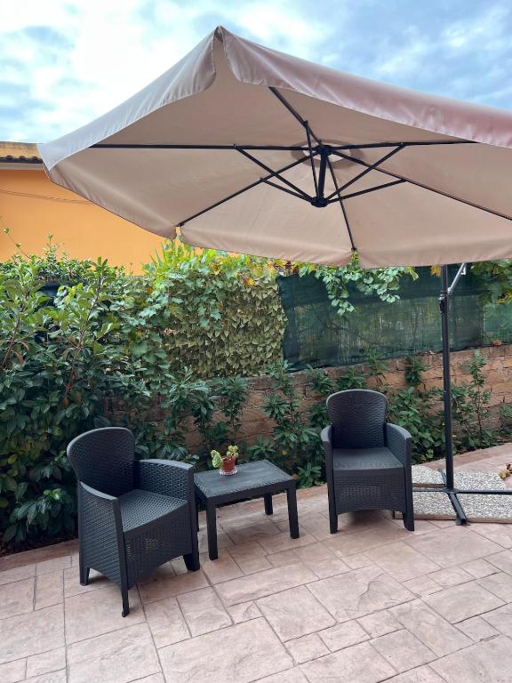 Cozy studio apt - 5 mins from Fiumicino RomeAIRPORT - 4
