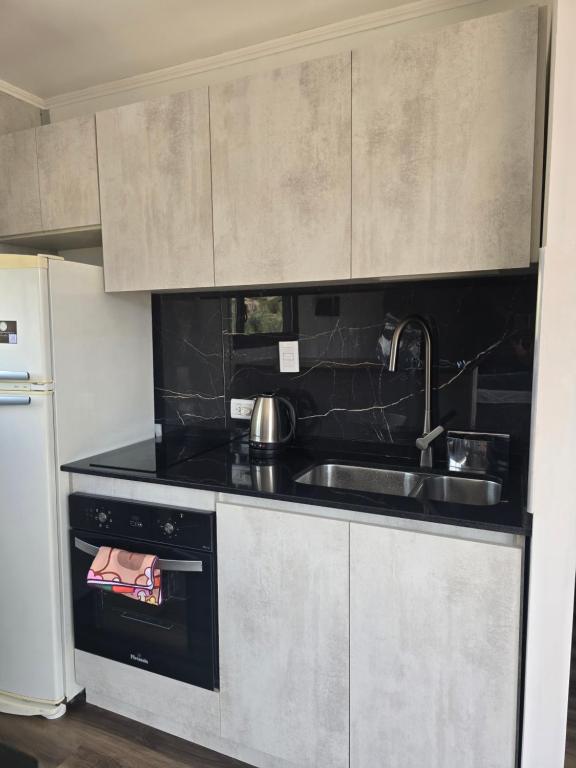 Altos Dique Potrerillos - 5