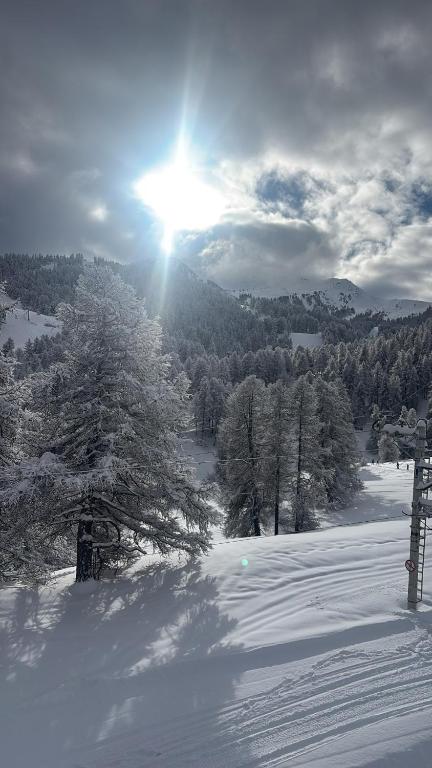 Duplex cosy jusqu'à 6 personnes- chalet des Pléiades - départ skis aux pieds en bordure de piste sans portage - au milieu des fleurs en été - l'autre duplex du chalet est également à nous - 5