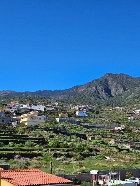 La Casita de Don Honorio - 2