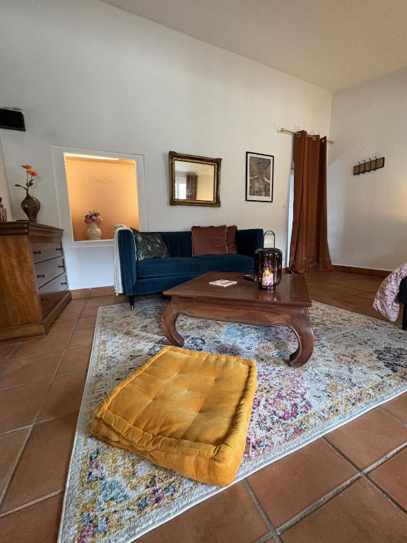 Studio Provençal au centre-ville de Vienne - 4