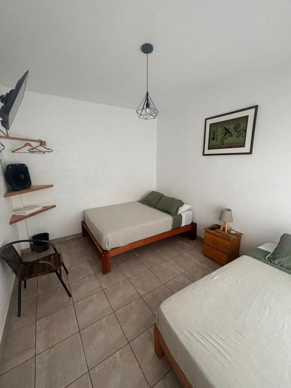 Ravenala Paracas Hostel & Apartment - 2