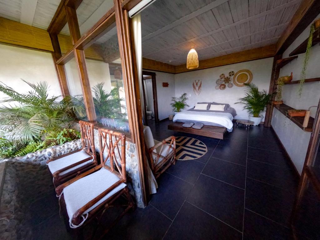 Casa NATIVO - 3
