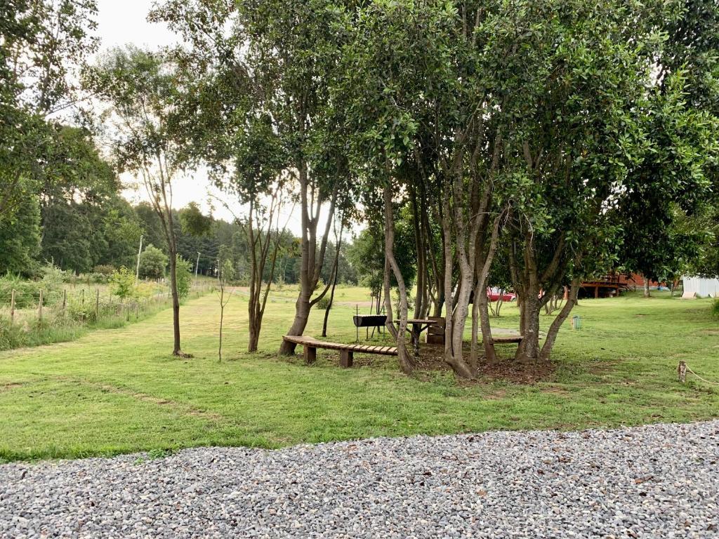 Cabaña segunda faja Villarrica - 4