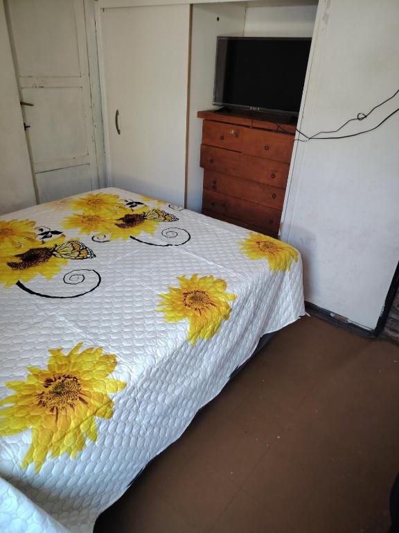 Casa para Turistas - 5