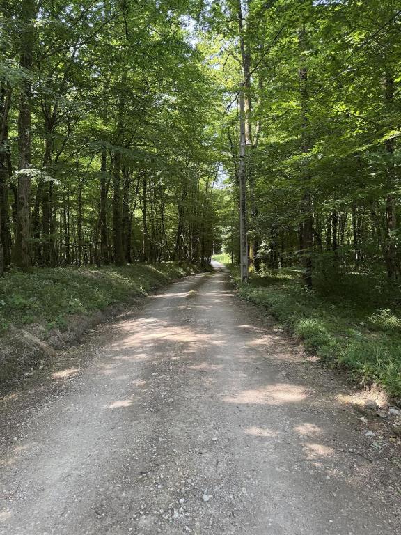 Gite au coeur des bois - Le Chêne du Verger - 2