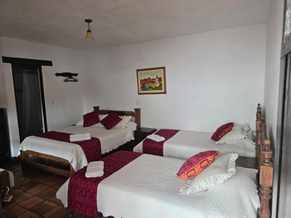 El Hotel Don Paulino - 2