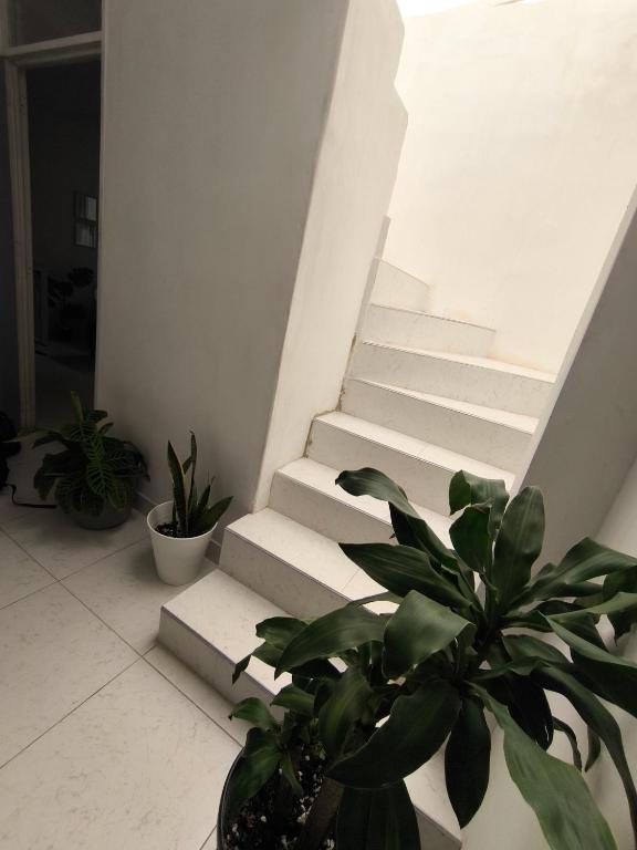 Apartamento lujo grupo familiar - 5