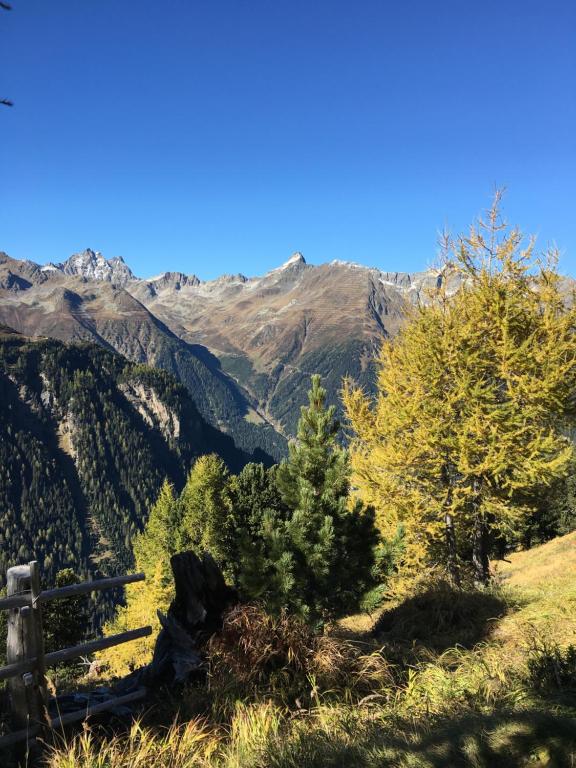 Surrounding environment