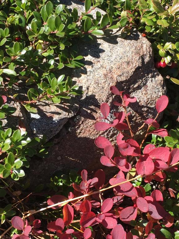 Surrounding environment