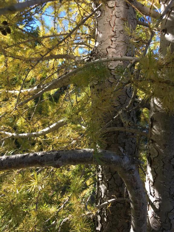 Surrounding environment