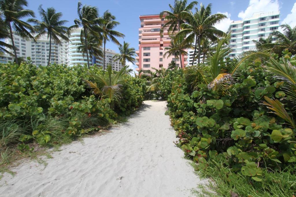 Beachfront Suites photo