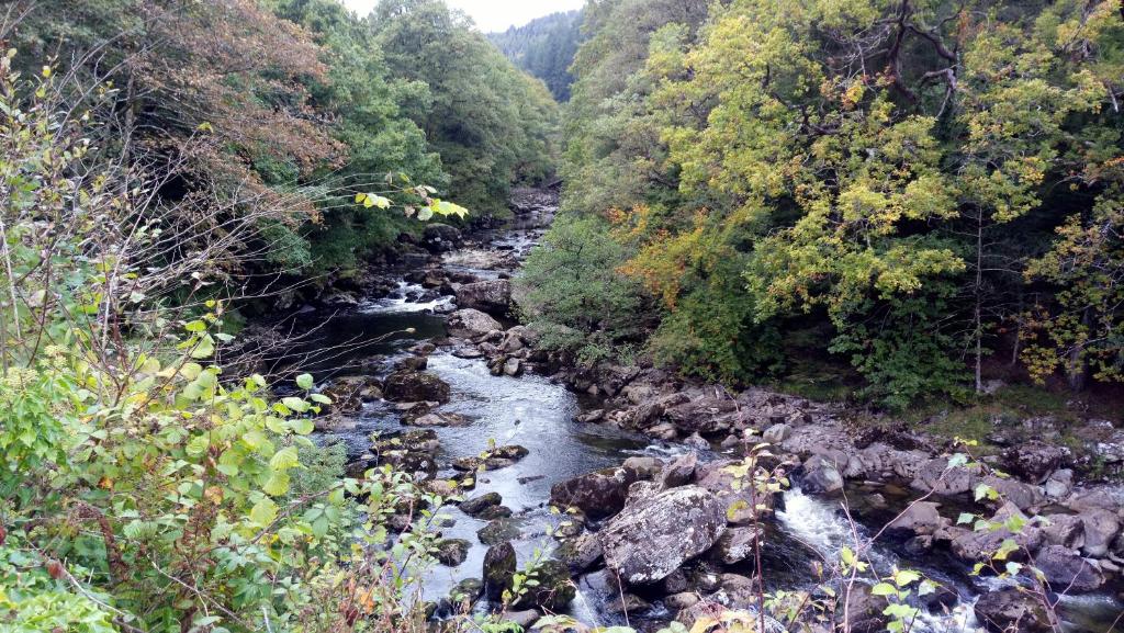 周辺観光スポット