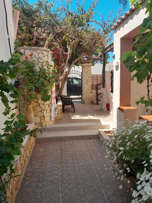 Il Sole Di Lampedusa - 2