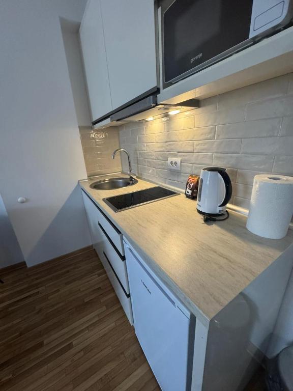 Apartman Kraljevi čardaci Makica Kopaonik sa garazom - 2