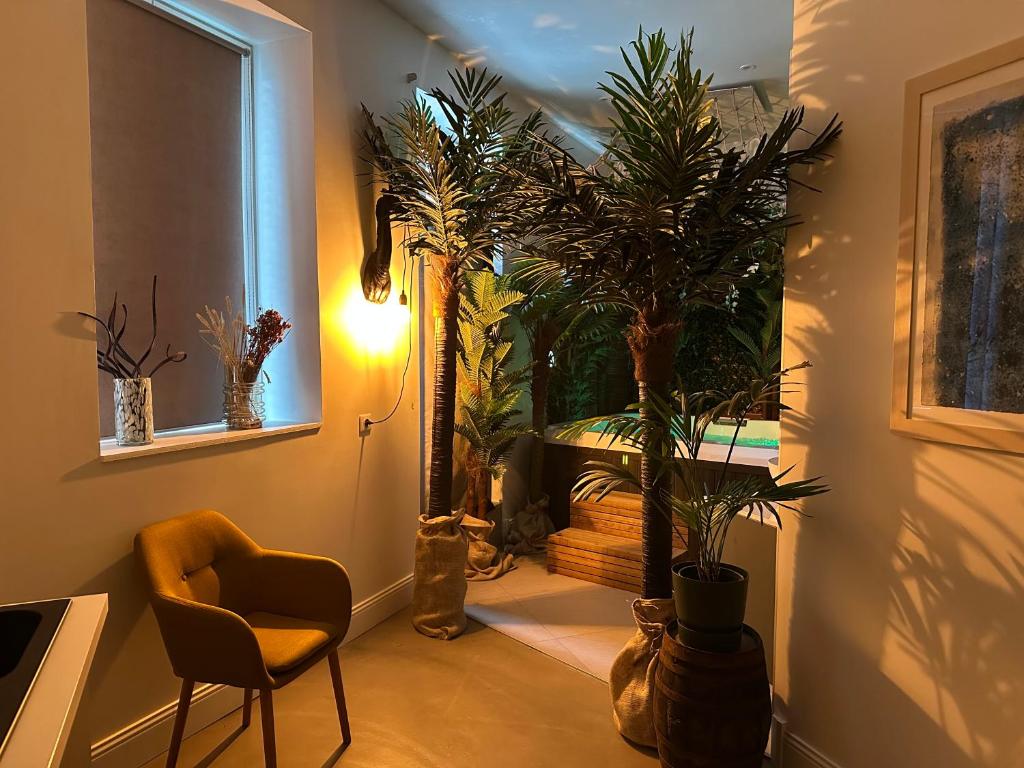 Jungle room, Jacuzzi privatif et cinéma - 3
