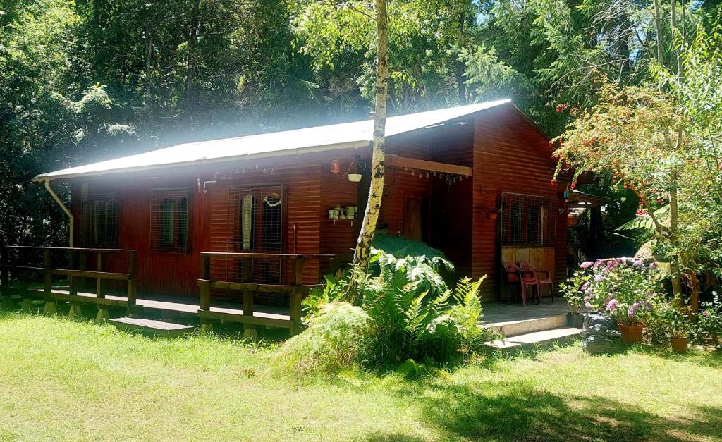 Cabaña - 1