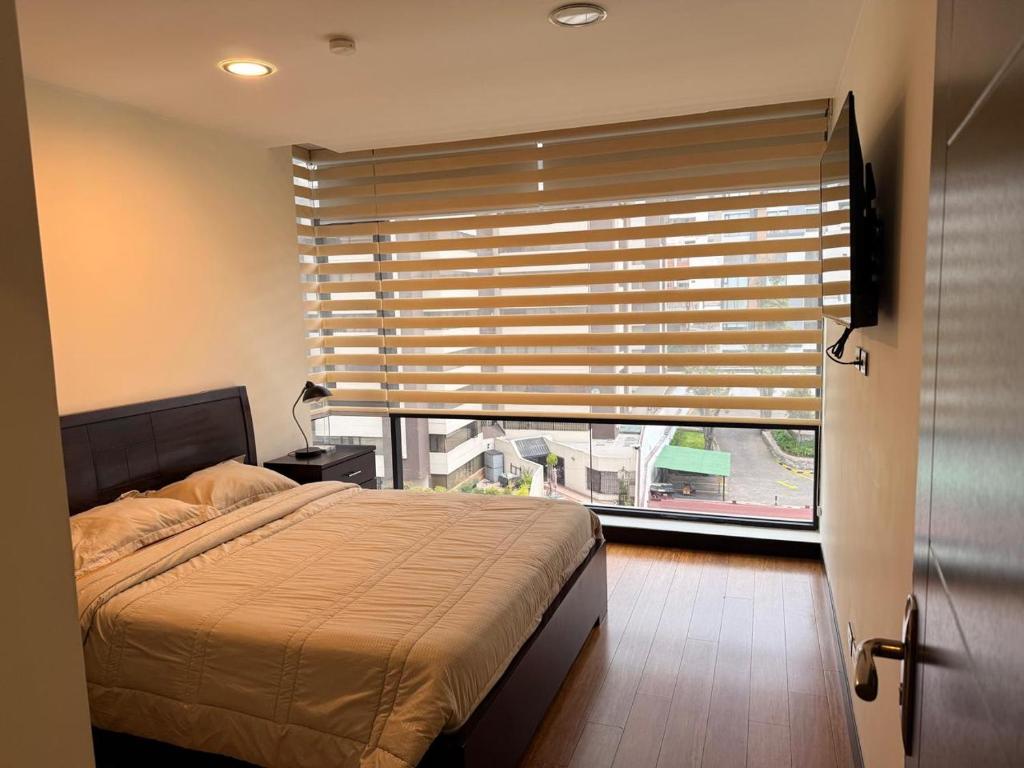 Carolina urban apartment SGL - 3