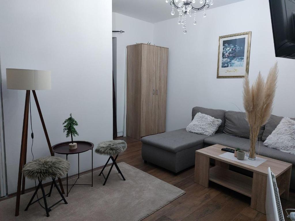Apartman Ivana Kopaonik - 1