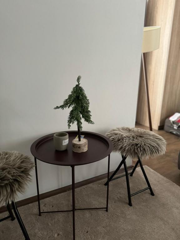 Apartman Ivana Kopaonik - 4
