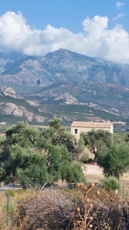 Calvi, 4-person apartment with pool, quiet, close to beaches, piscine, calme - 4