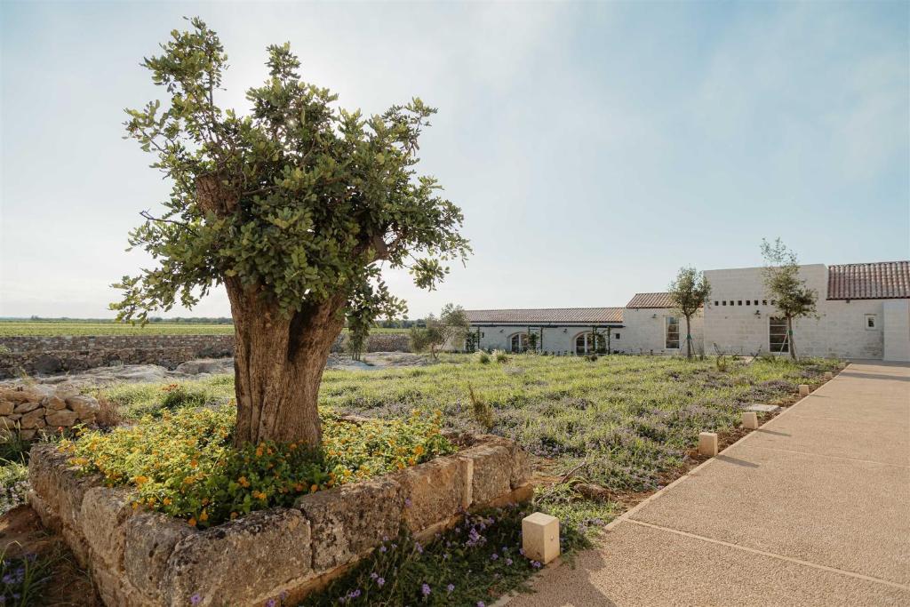 Masseria Vaccaro - Boutique Hotel - 2