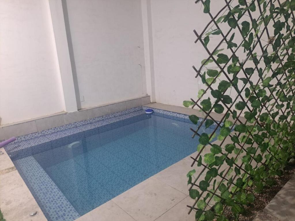 Apartment with pool, social area, garage - 5