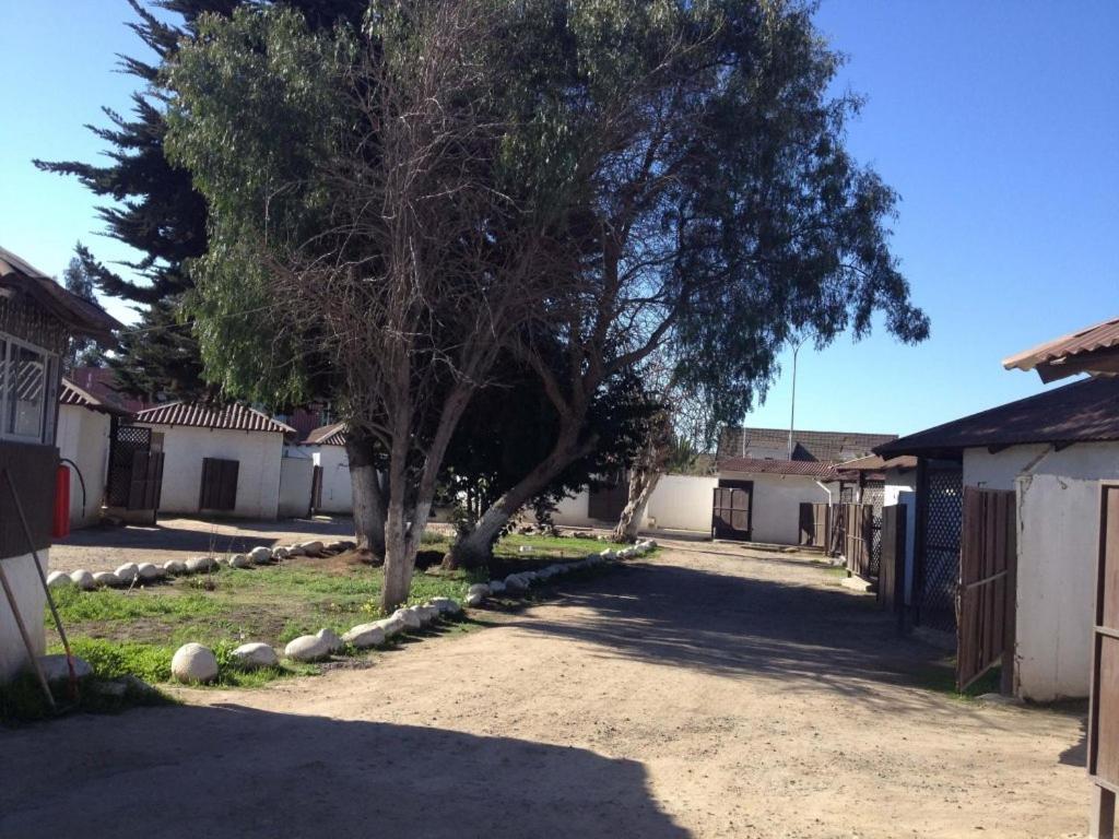 Hospedajes Millaray - 3