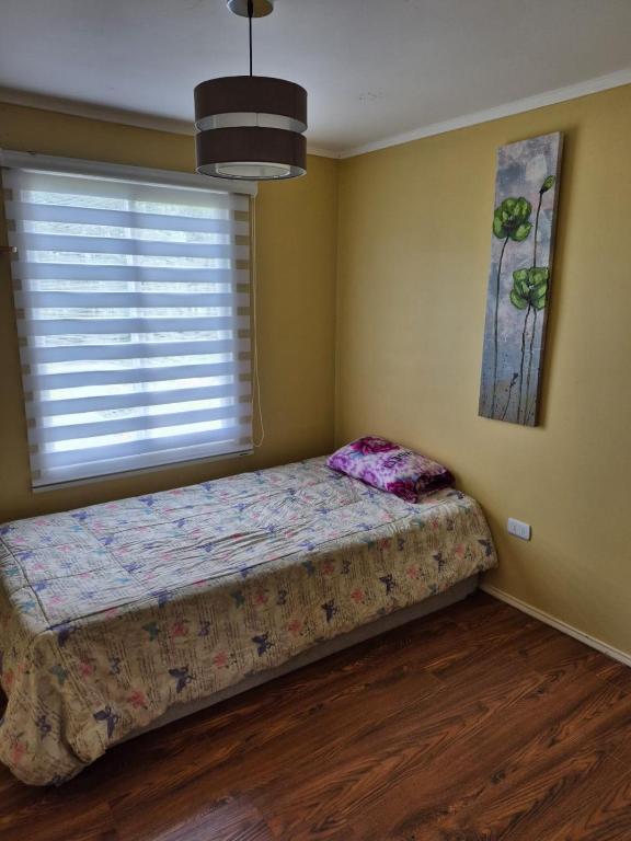 Casa con parcela - 4