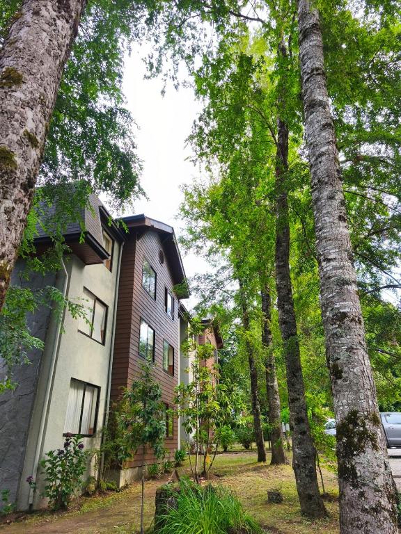 Pucon Parque Suizo Apartamento, primer piso - 4