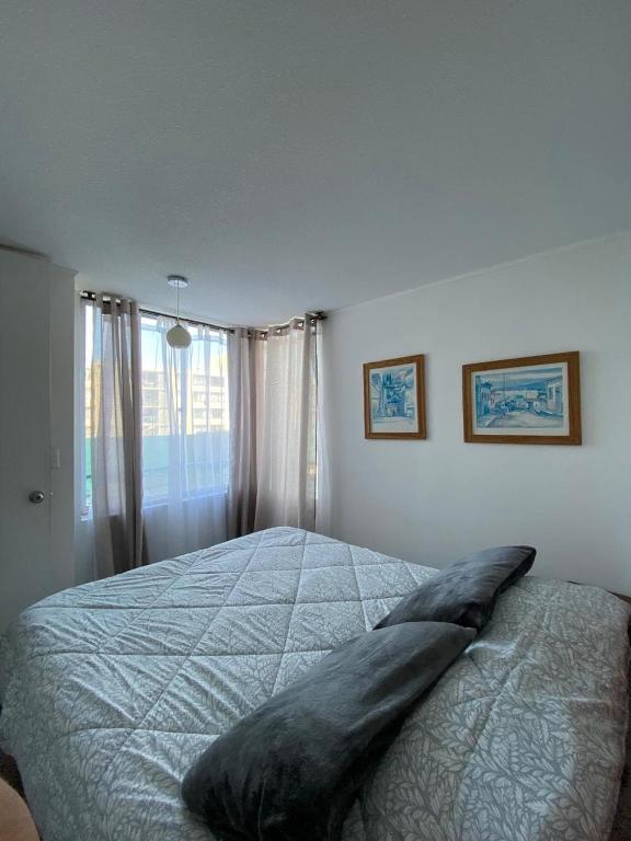 3-bedroom apartment - 2