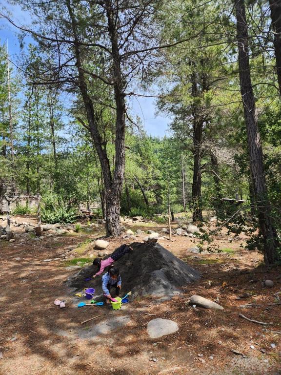 Espacios para carpa junto al río Claro Los Queñes, trae tu carpa y quipo de acampar, camas de cuarzo y acceso privado al rio - 2