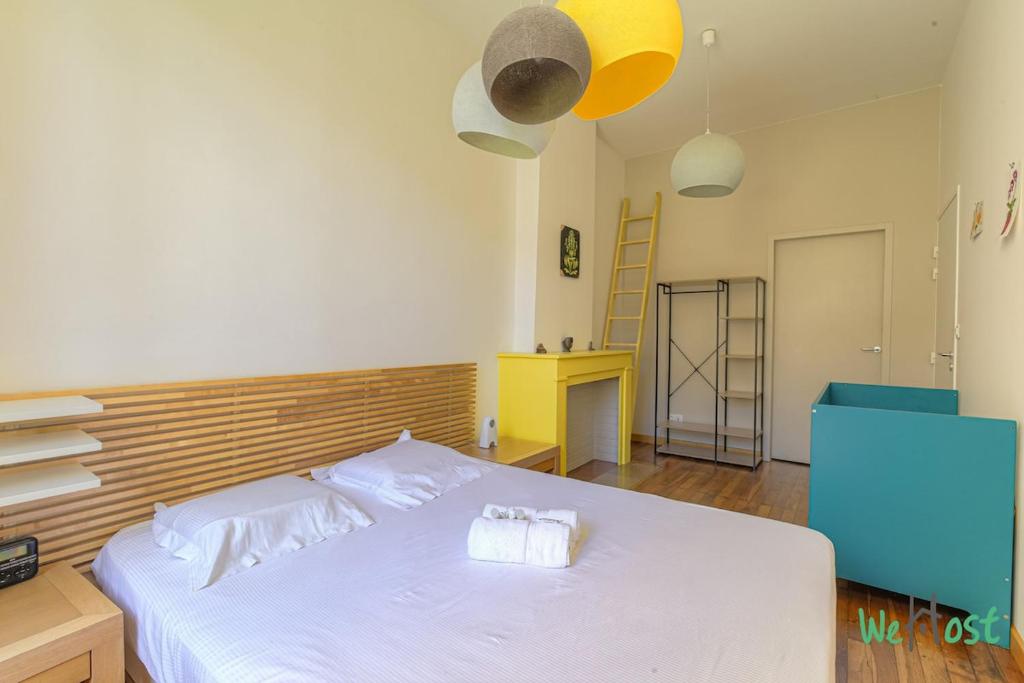 Bon Pasteur - Lyon 2 - LB - Cozy and bright in hypercenter of Lyon - 5