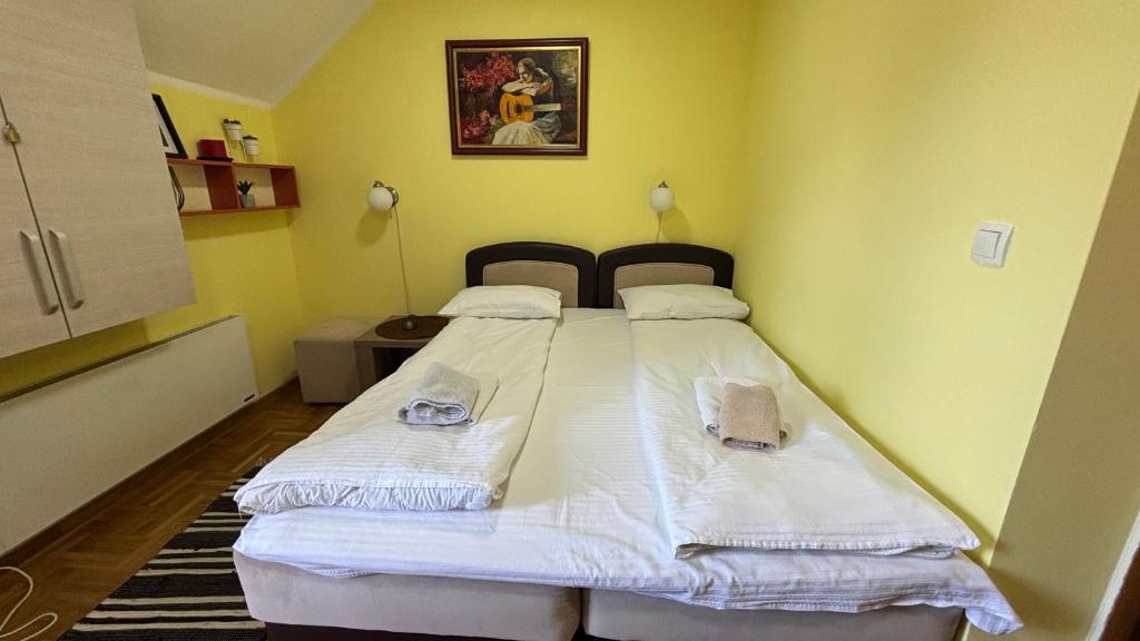 Apartman Pedja zlatiborski konaci 19/22 - 5