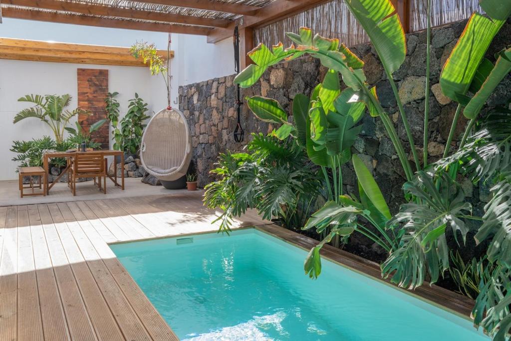 BaliHouse by Aura Collection - 3