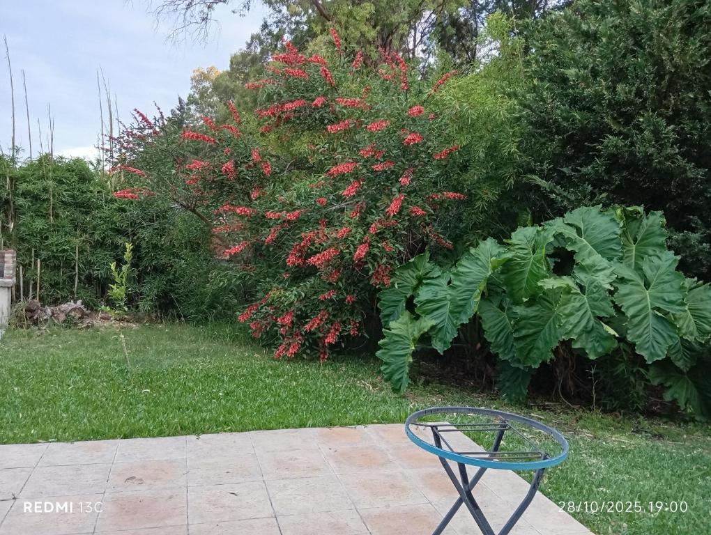 cabaña los cardenales a 5' termas del guaychu - 2
