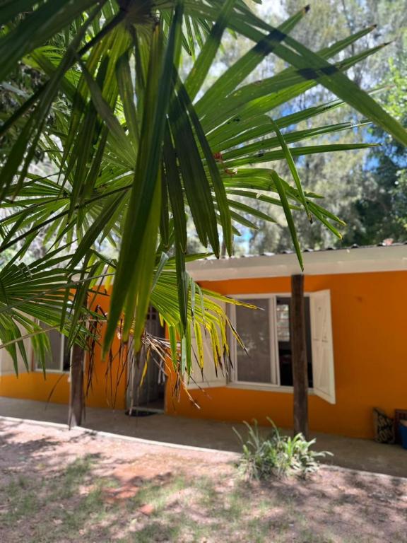 La rosadita - 5