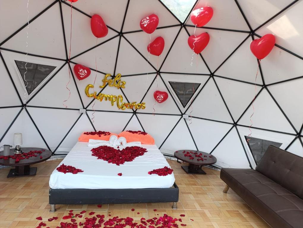 GLAMPING DOMO VILLETA - 3