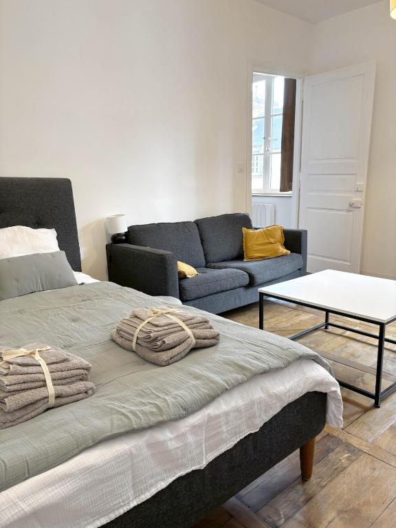 Le 47, Appart calme & cosy hypercentre Rennes - 4