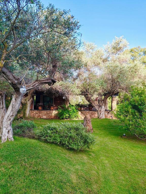 Charming Cottage with Private Garden near Nora & Chia - 2