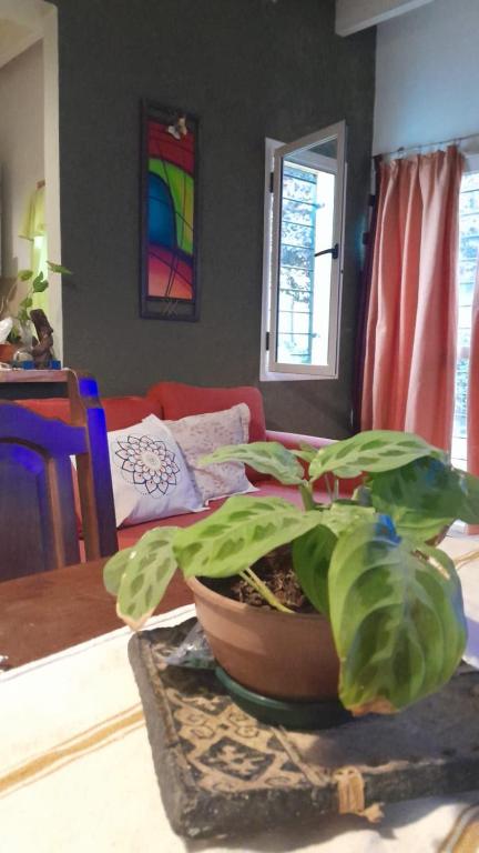 Habitación en Valle de Uco - 3