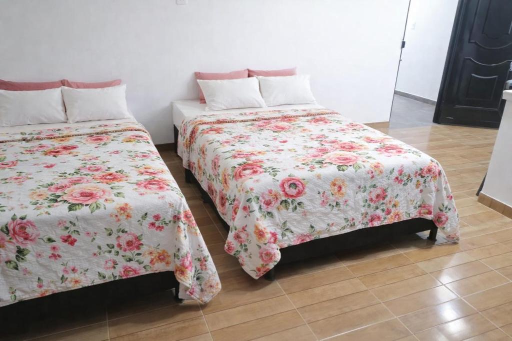 Floralhome Embrujo aparta estudio - 5