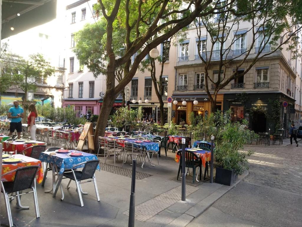 Cozy and charming accommodation Lyon 1 center - 3