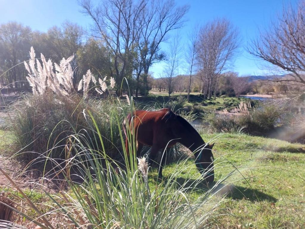 Casa en Los Reartes - 2