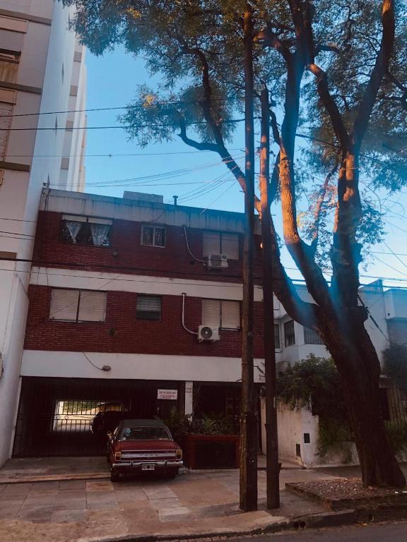 Olivos Stay - 5
